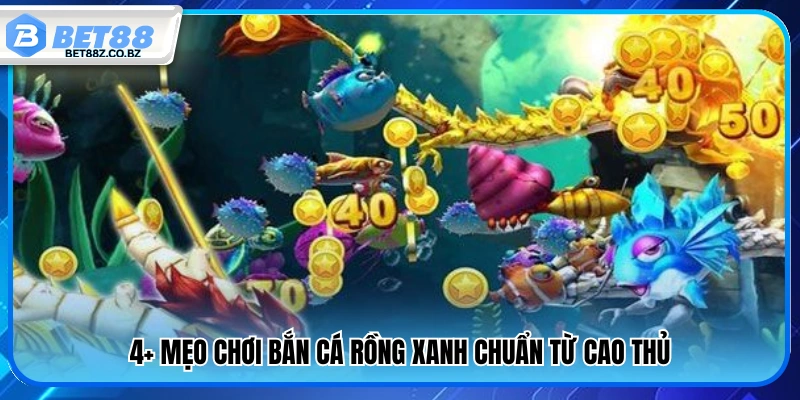 4+ Kinh nghiệm săn cá Rồng Xanh hiệu quả