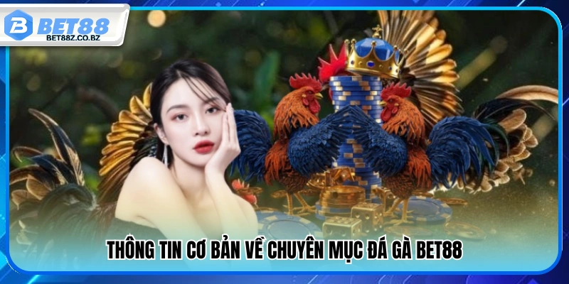 Bao quát chung về sảnh đá gà Bet88 