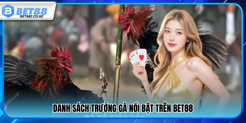 Các trường gà uy tín và nổi bật tại Bet 88 