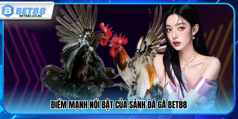 Ưu thế khi tham gia sảnh đá gà Bet88 