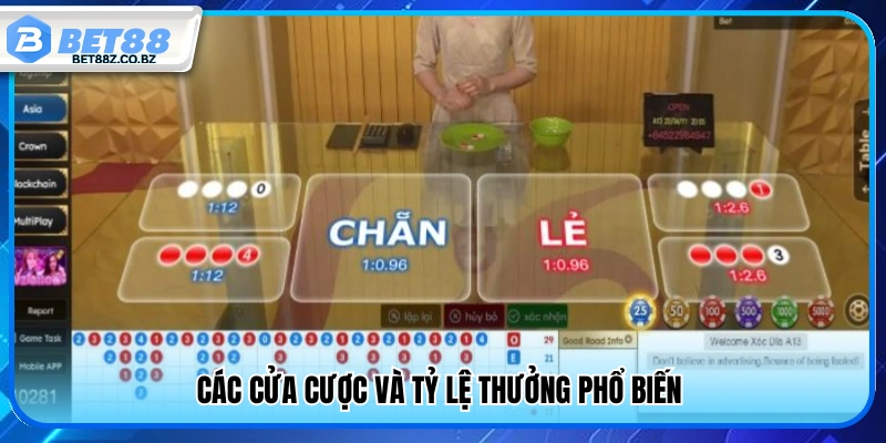 Những cửa cược thông dụng cùng mức trả thưởng 